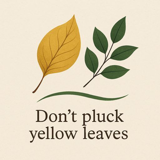 Don’t pluck yellow leaves